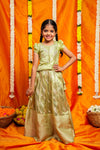 Aalaya Green organza lehenga Mini