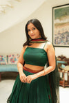 Sreeja Green Handwoven Lehenga Set