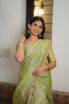 Aalaya Green Banarasi Half Saree Set