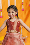 Gargi Peach Lehenga Mini (Set of 2)
